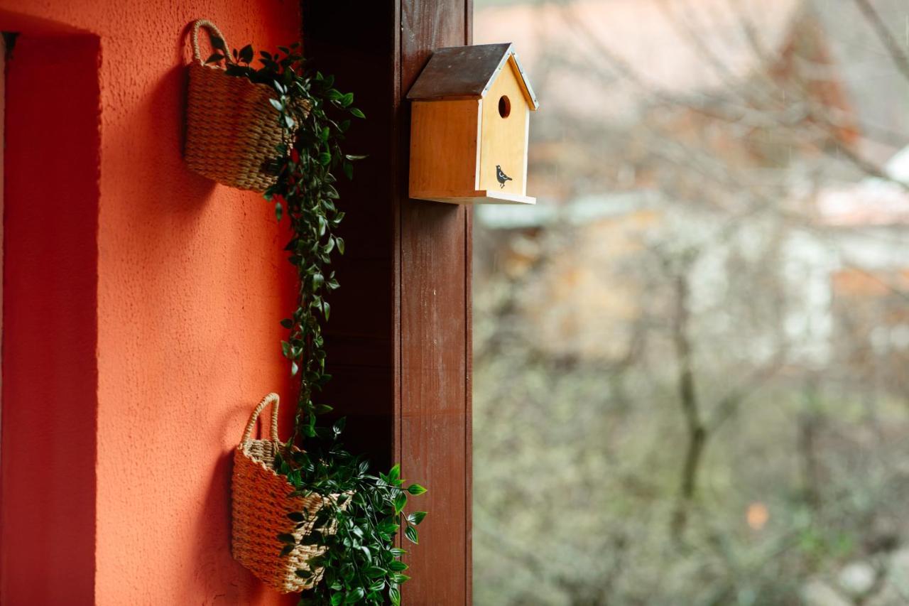 Home & Garden With Stunning View Sinaia Ngoại thất bức ảnh